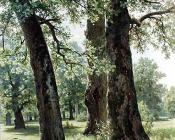 伊万 希什金 : shi-oaks